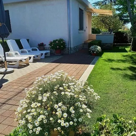 House Of Albina- 10 M Od Mora Ferienhaus